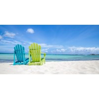 Dolores Flowers - Beach Chairs - You Take The Blue One