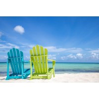 Dolores Flowers - Beach Chairs - You Take The Green One