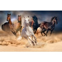 Horses - Running