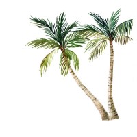 Palm trees
