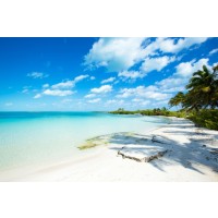 Beach - Turquoise Paradise