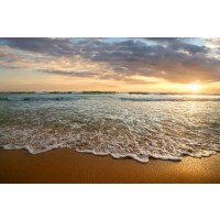 Beach - Sunset