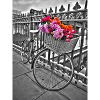 Assaf Frank - Bicycles with flowers