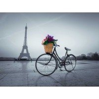 Assaf Frank - Bicycle with a basket of flowers next to the Eiffel tower, Paris, France