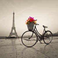 Assaf Frank - Bicycle with a basket of flowers next to the Eiffel tower
