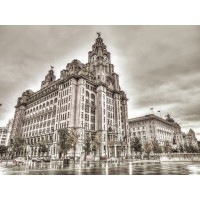 Assaf Frank - Royal Liver Building, Liverpool, FTBR-1866