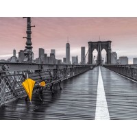 Assaf Frank - Yellow umbrella and bunch of roses on bench on pedestrian pathway, Brooklyn bridge, New York