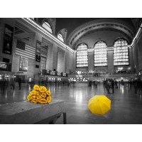 Assaf Frank - Bunch of yellow roses and umbrella in Grand Central Terminal, New York