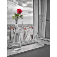 Assaf Frank - Flower vase on window with Eiffle tower in background-Paris