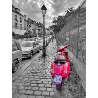 Assaf Frank - Bunch of Roses on scooter, Paris, France