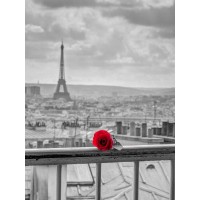Assaf Frank - Rose on balcony railing with Eiffel Tower in background, Paris, France