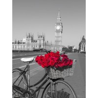 Assaf Frank - Bicycle with bunch of flowers on Westminster Bridge-London-UK