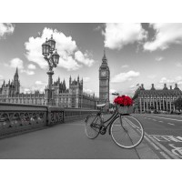 Assaf Frank - Bicycle with bunch of flowers on Westminster Bridge, London, UK