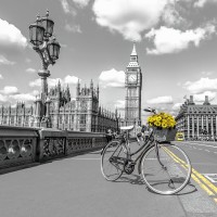 Assaf Frank - Bicycle with bunch of flowers on Westminster Bridge-London-UK