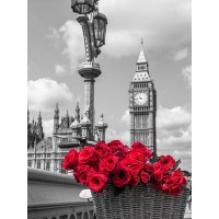 Assaf Frank - Bicycle with bunch of flowers on Westminster Bridge, London, UK