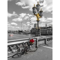 Assaf Frank - Bicycle with bunch of flowers on Westminster Bridge, London, UK