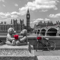 Assaf Frank - Teddy Bears with red rose agasint Westminster Abby, London, UK