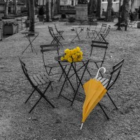 Assaf Frank - Bunch of roses and umbrella on table and chair at the park, New York