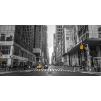 Assaf Frank - Cab on New York city street