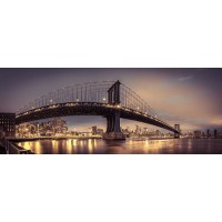 Assaf Frank - Manhattan bridge and New York city skyline, FTBR-1836