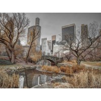 Assaf Frank - Central park and Manhattan skyline, New York