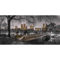 Assaf Frank - Central park with Manhattan skyline, New York