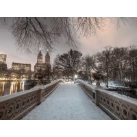 Assaf Frank - Central park with Manhattan skyline, New York
