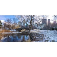 Assaf Frank - Central park with Lower Manhattan skyline, New York