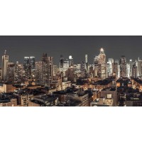 Assaf Frank - Lower Manhattan cityscape, New York