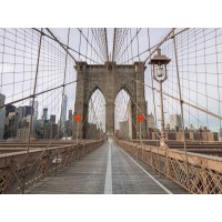 Assaf Frank - Brooklyn bridge, New York