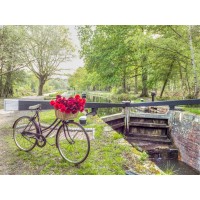 Assaf Frank - Bicycle with bunch of white roses by the canal