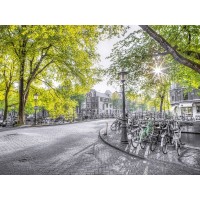 Assaf Frank - Amsterdam city street