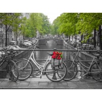 Assaf Frank - Bicycle with bunch of flowers by the canal, Amsterdam