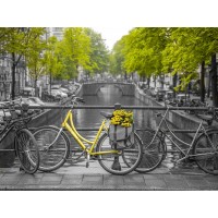 Assaf Frank - Bicycle with bunch of flowers by the canal, Amsterdam