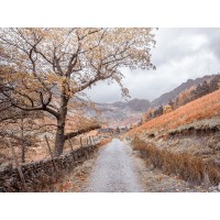 Assaf Frank - Countryside dirt road