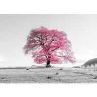 Assaf Frank - Tree on a hill
