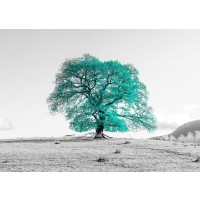 Assaf Frank - Tree on a hill