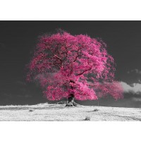 Assaf Frank - Tree on a hill-pink