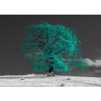 Assaf Frank - Tree on a hill-teal