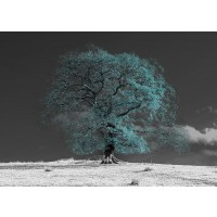 Assaf Frank - Tree on a hill-teal