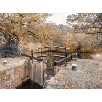 Assaf Frank - Canal lock