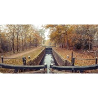 Assaf Frank - Canal through forest