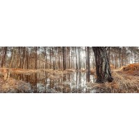 Assaf Frank - Canal through forest