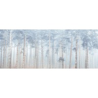 Assaf Frank - Misty Forest