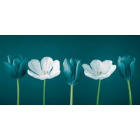 Assaf Frank - AF20120424 Tulips 350C09