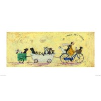 Sam Toft - The Doggie Taxi Service  