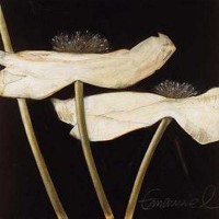 Beate Emmanuel - Excellent I