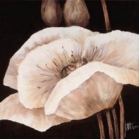 Jettie Roseboom - Amazing Poppies I