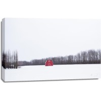 Codey Wicks - Winter - Lone Red Barn I