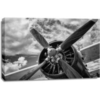 Adrian Smith - Close Up Of Old Airplane II